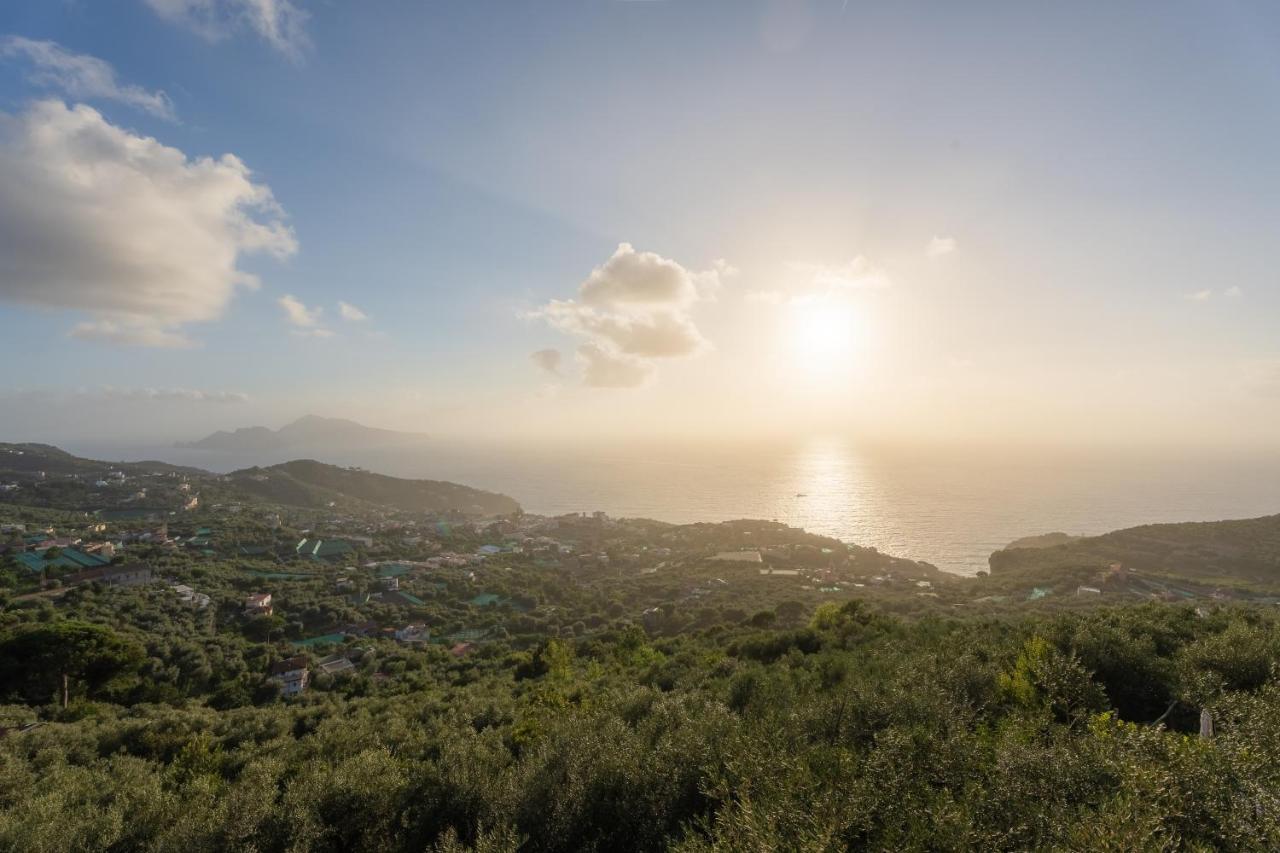 Al Calar Del Sole Villa มัสซาลูเบรนเซ ภายนอก รูปภาพ